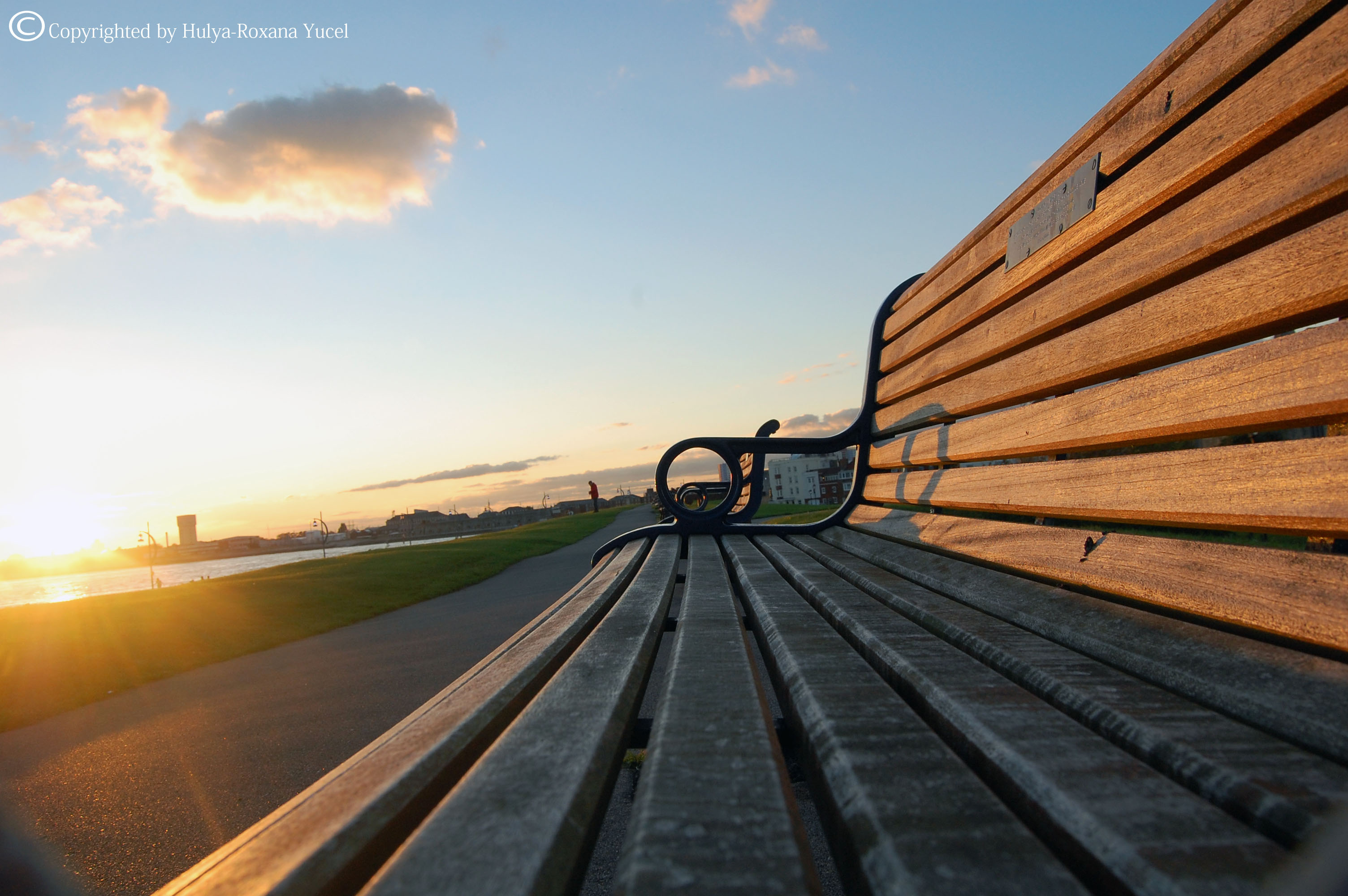 bench