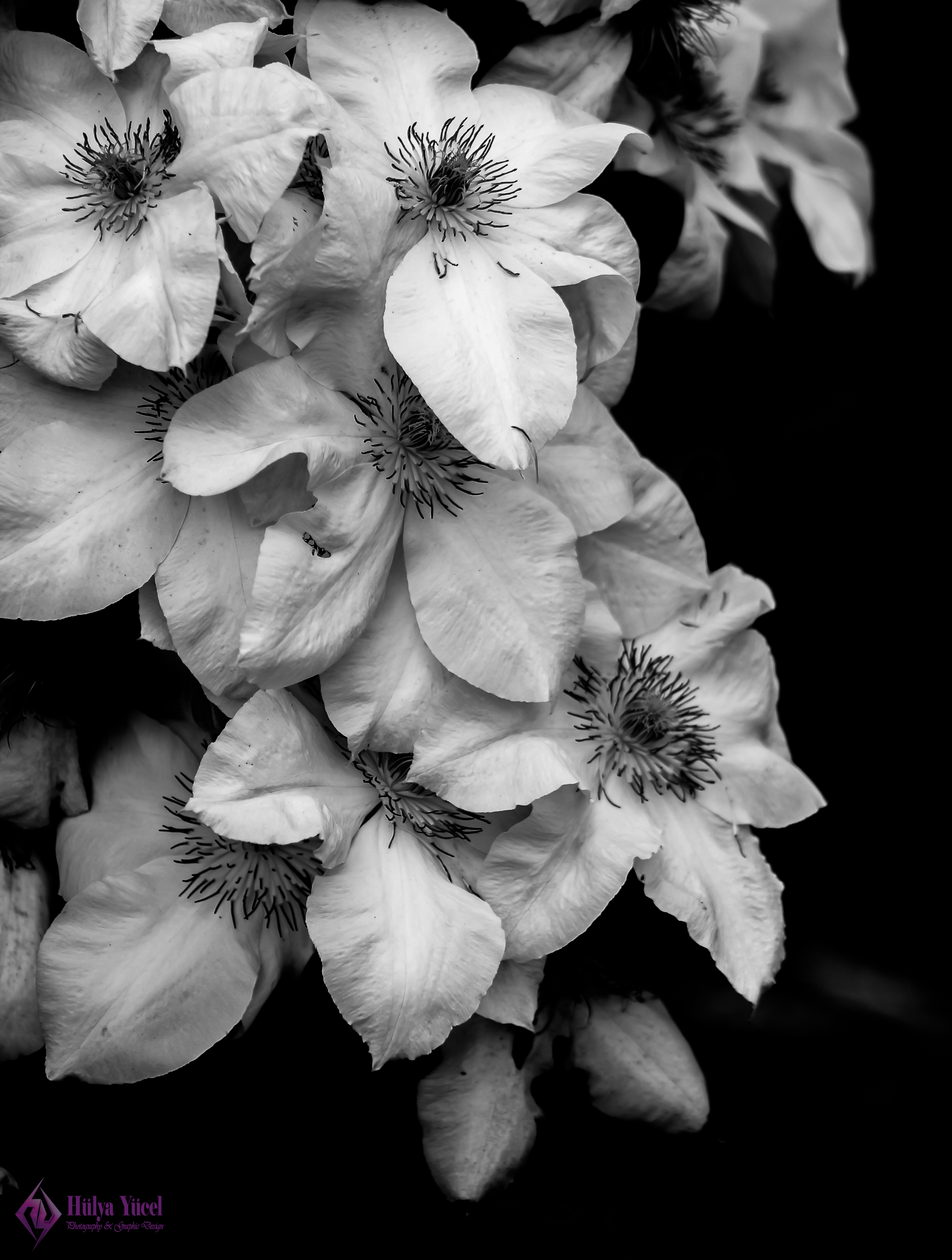 white flowers