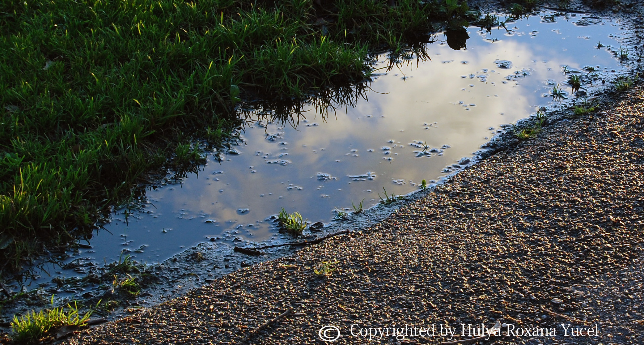 sky in water